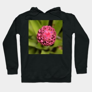 Bromeliad Hoodie